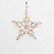 Star - Earrings Ara - 1